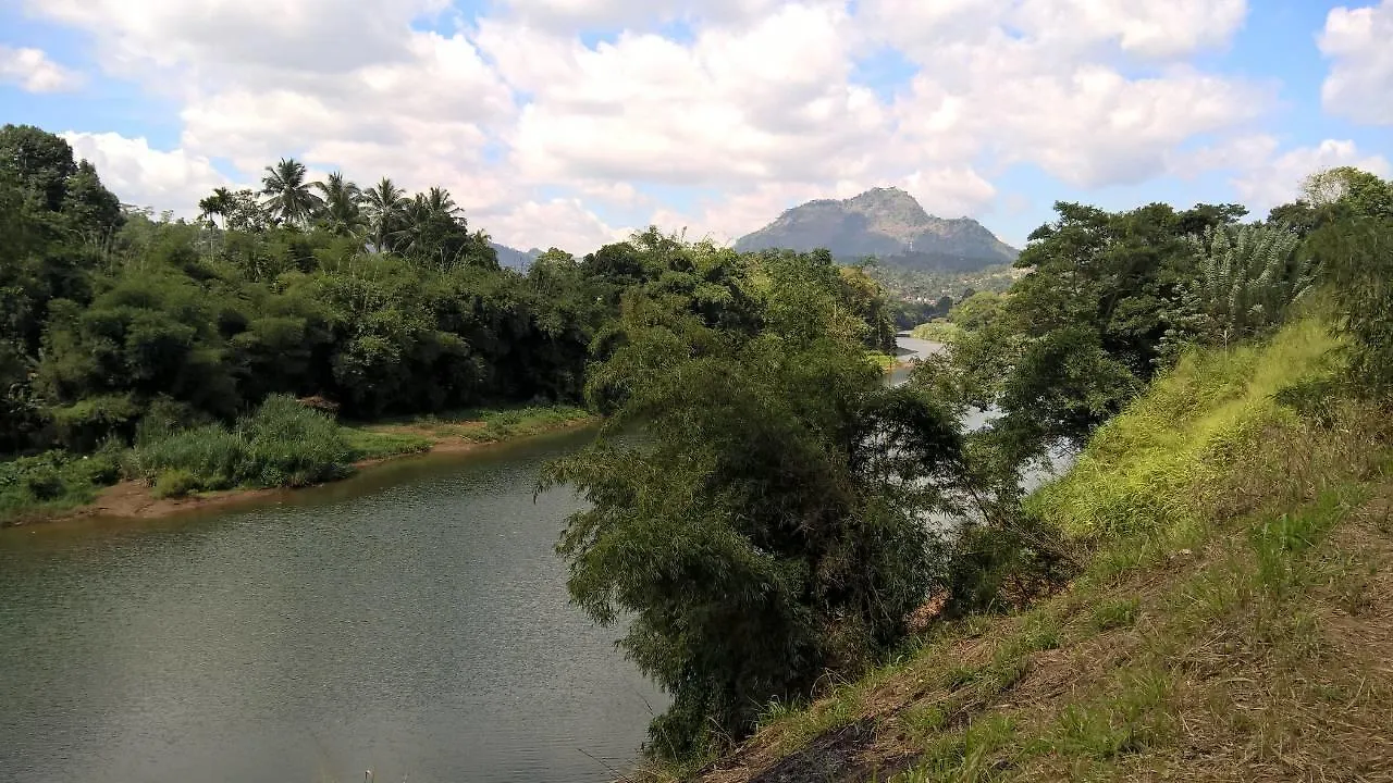 Kandy Okaya