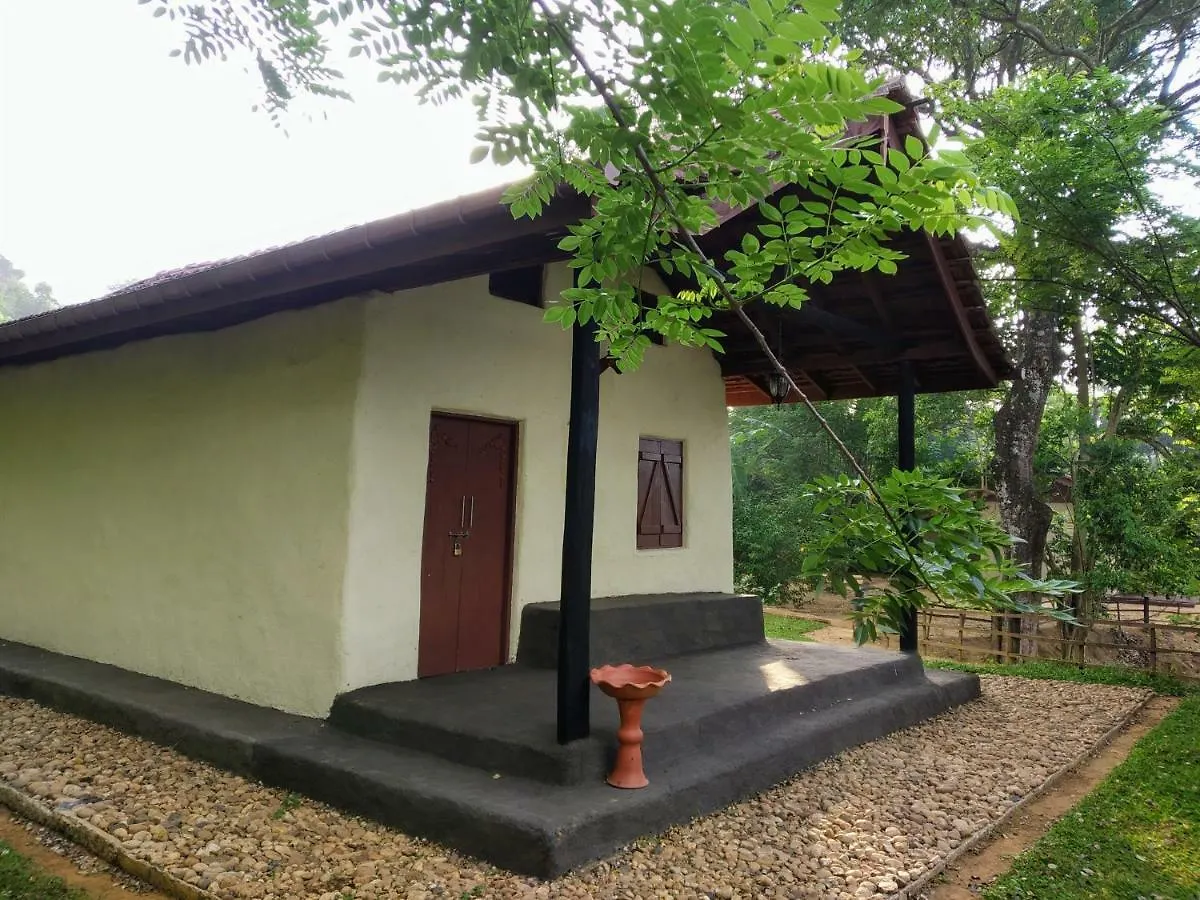 Kandy Okaya Srí Lanka