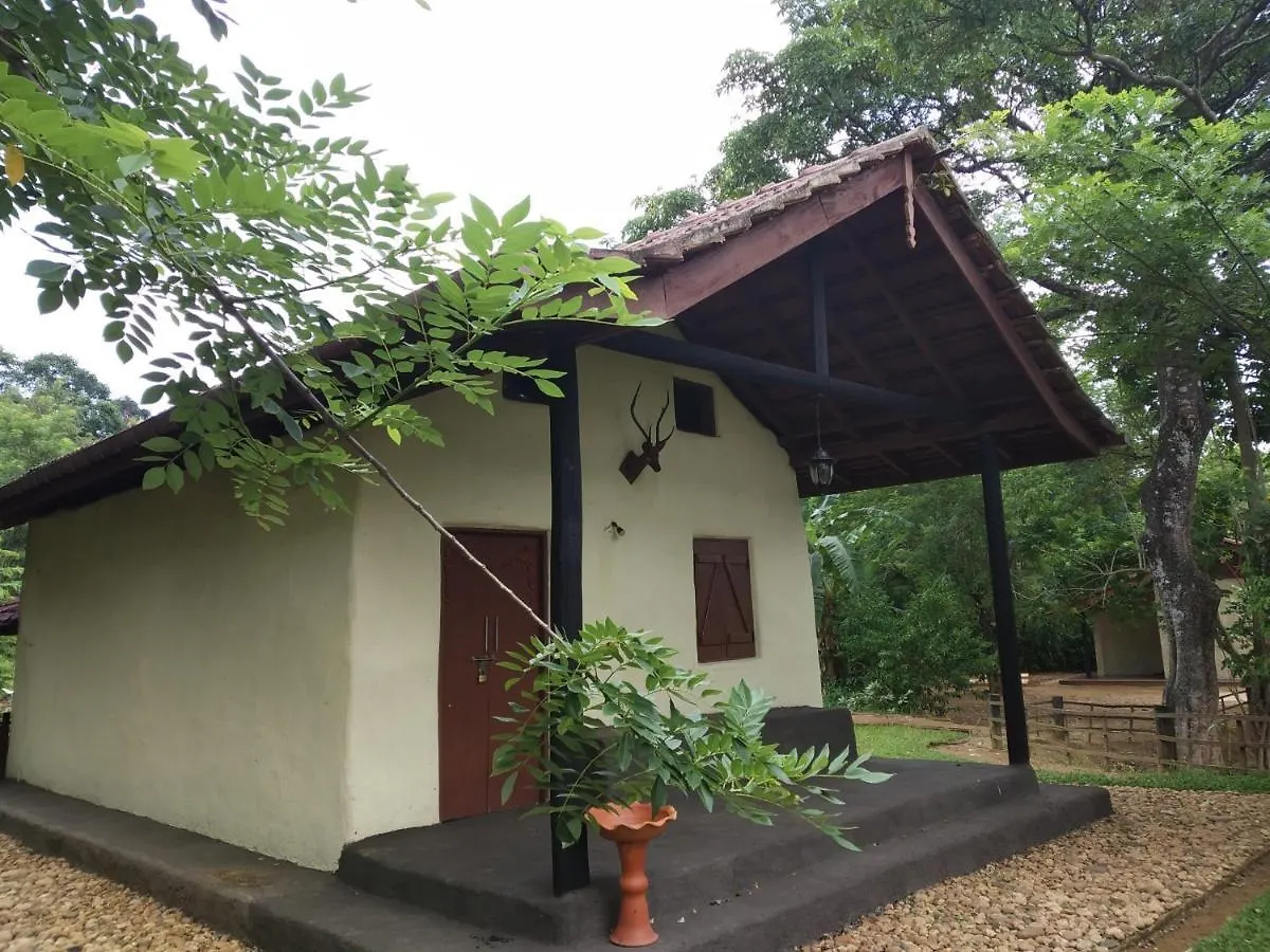 Kandy Okaya 0*,